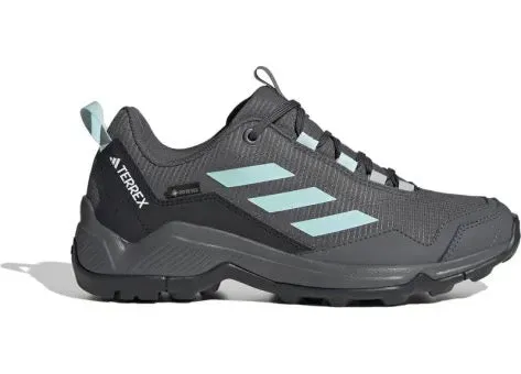 Adidas Terrex Eastrail GTX W