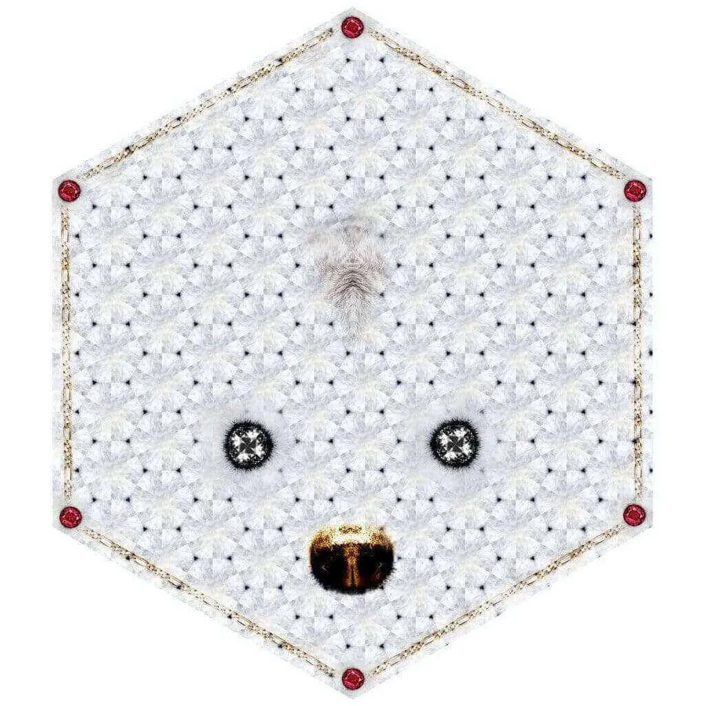 Crystal Teddy by Marcel Wanders