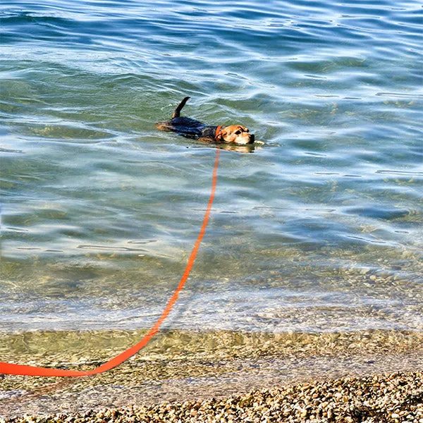 PawFusion™ Long Dog Leash