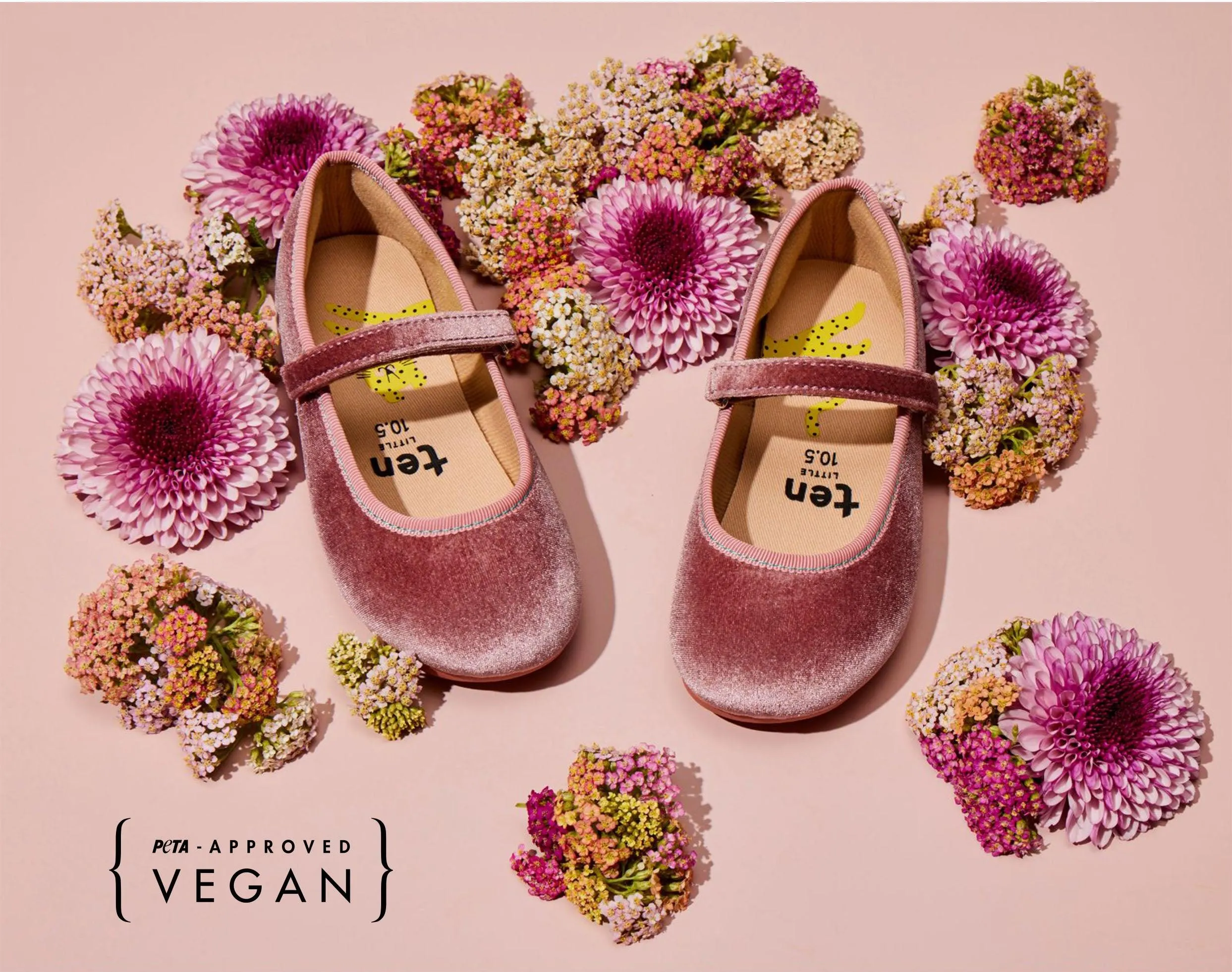 Velvet Ballet Flats